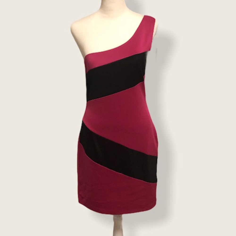 Lily Rose Dress Asymmetrical One Sleeve